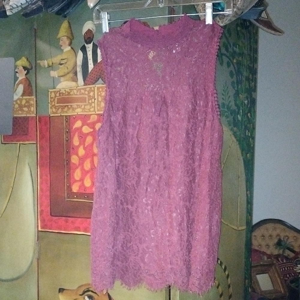 Xhilaration Lace Mini Dress/Top - Mauve